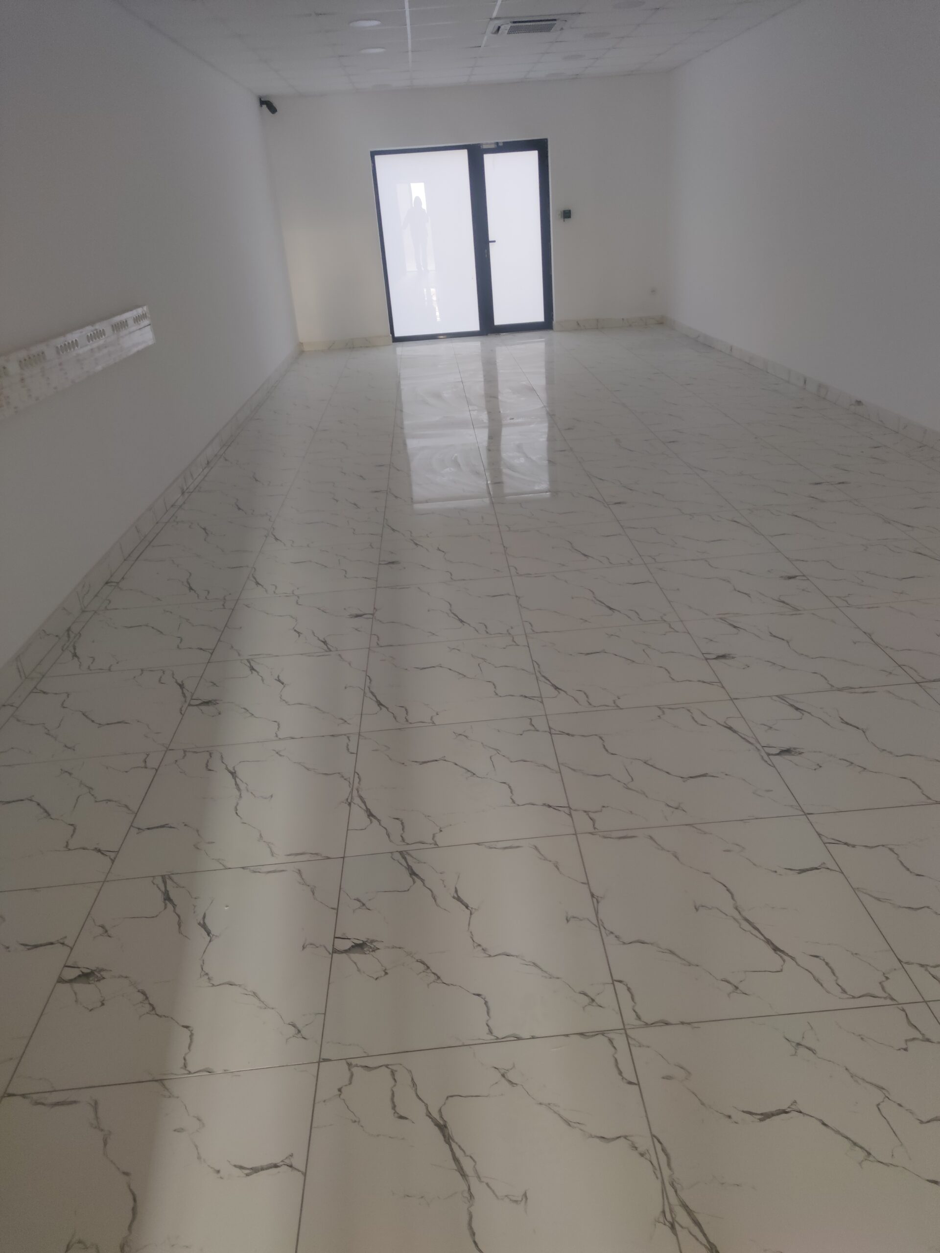 Profil Ion Macovei – poză avatar