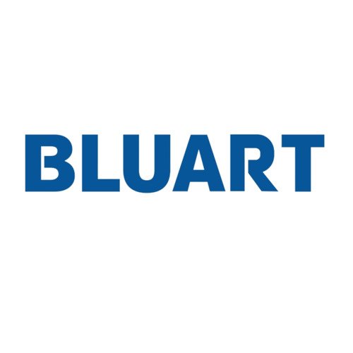 Profil Bluart Rom Grup SRL – poză avatar
